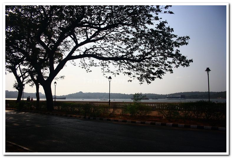 Boats in mandovi