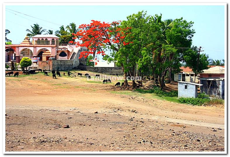 Akiwad in maharashtra photo 1