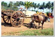 Maharashtra