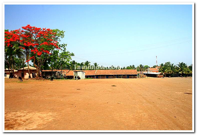 School at akiwad in maharashtra