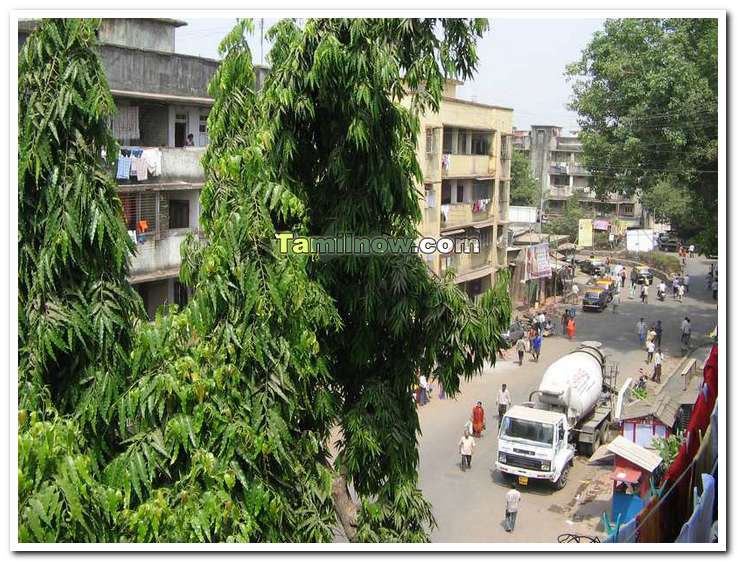 Zion koliwada in mumbai