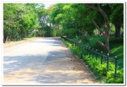 Lawns at mysore zoo 1