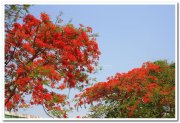 Mysore zoo 1