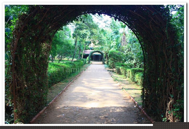 Mysore zoo photos 4