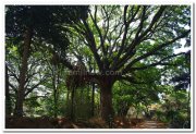 Mysore zoo stills 3