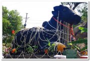 Nandi bull chamundi hills 1