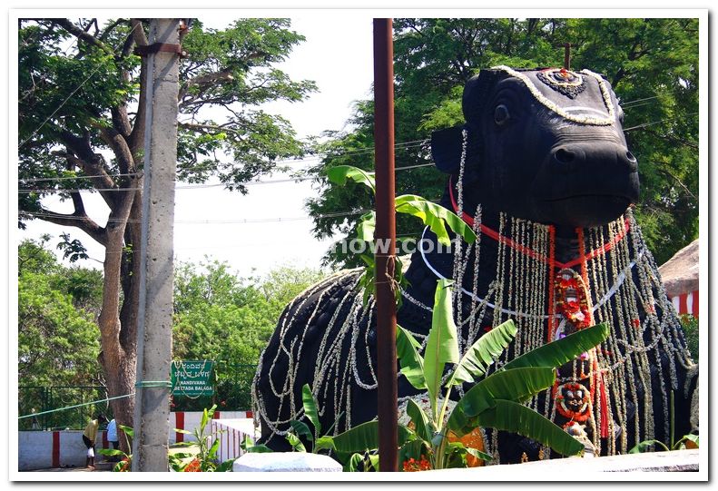 Nandi bull chamundi hills 2