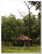 Nagarhole national park photo