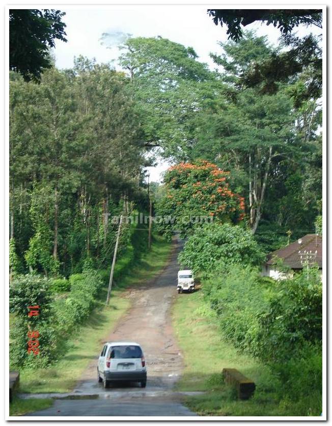 Nagarhole national park view