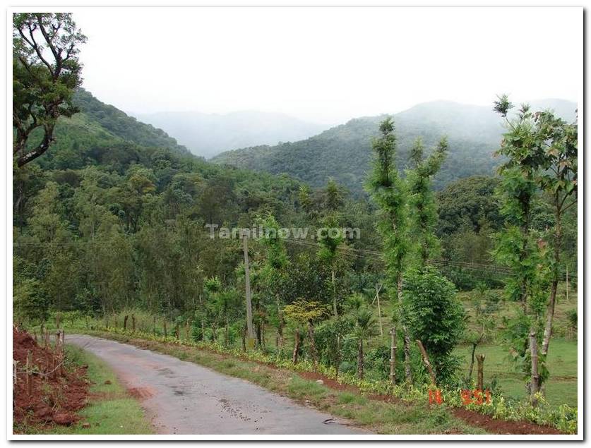 Roads inside park