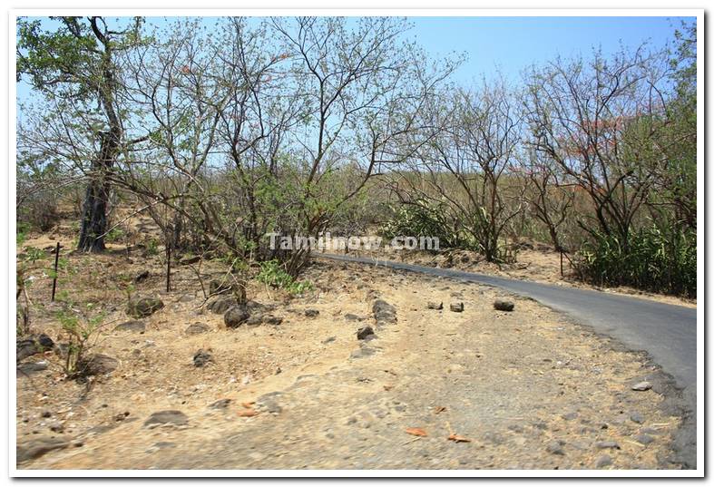 Path to ram temple