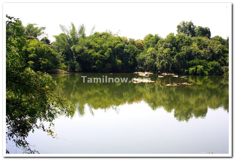 Ranganathittu bird sanctuary photo 1