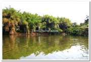 Ranganathittu bird sanctuary photo 3