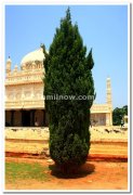 Gumbaz surroundings 1