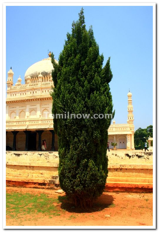 Gumbaz surroundings 1