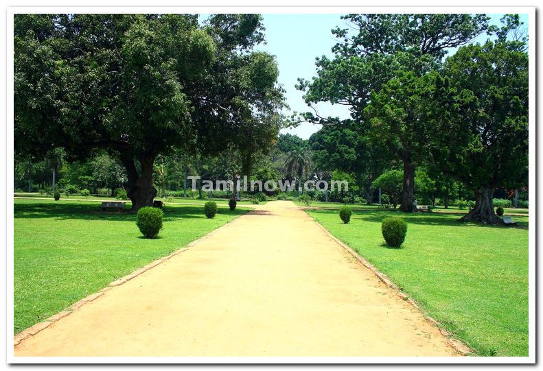 Tippu summer palace garden