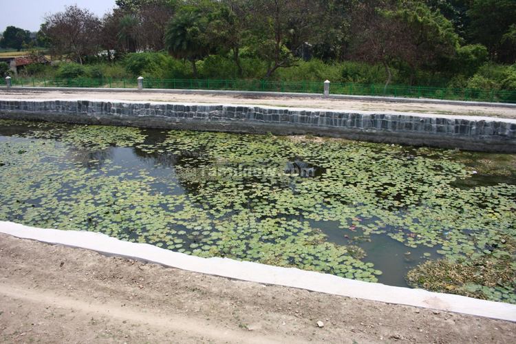 Lotus Pond near Gingee Fort
