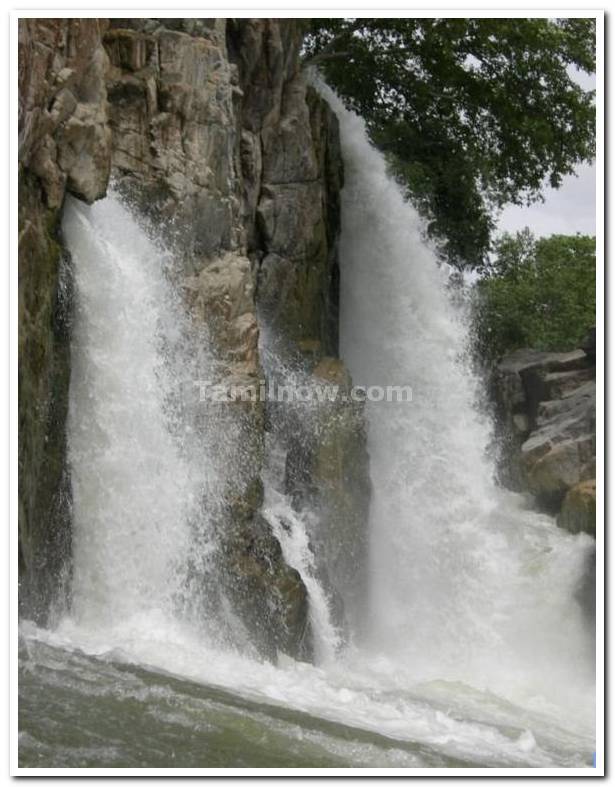 Hogenekkal waterfalls