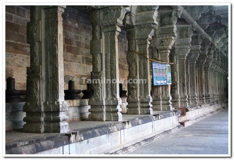 Ekambaranatha temple kanchi 2