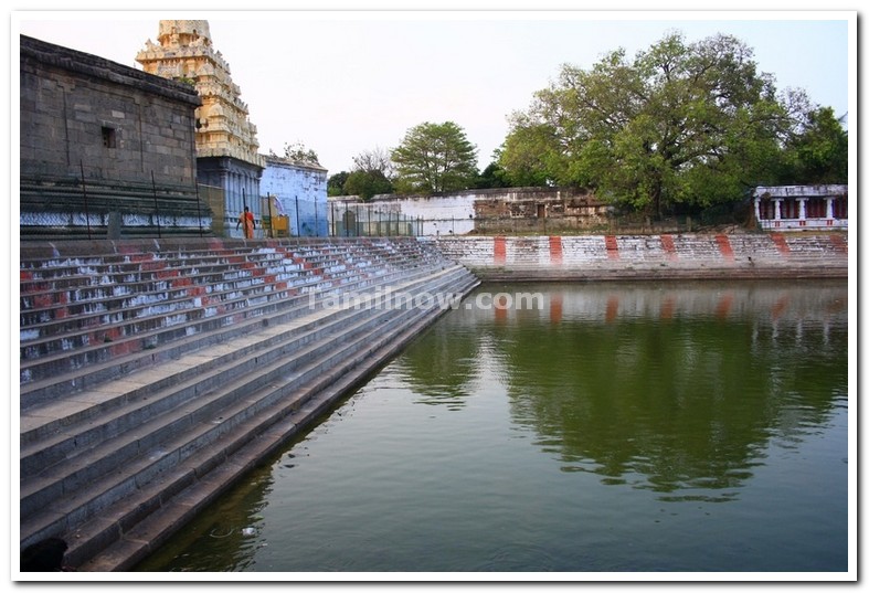 Ekambareswarar temple kanchipuram tank 3