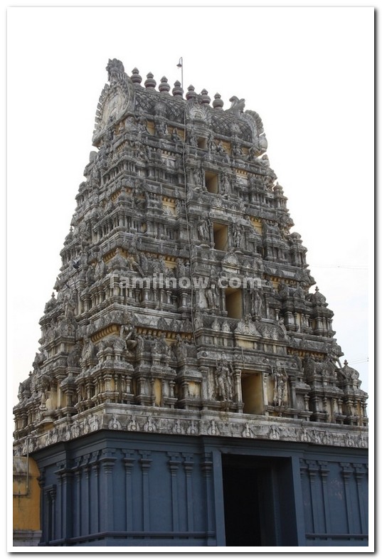 Kamatchi amman temple kanchipuram 3