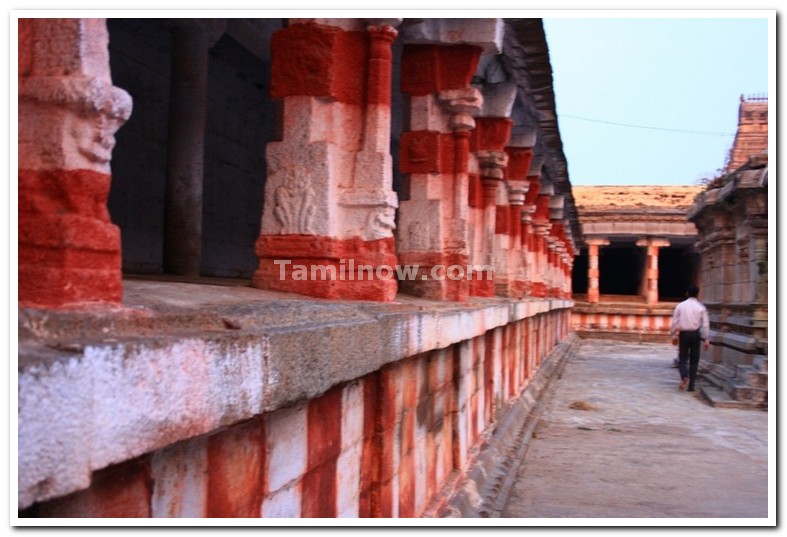 Varadaraja perumal temple kanchipuram 1