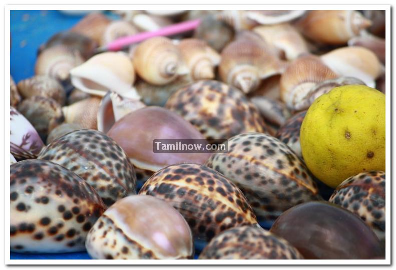 Shops selling crafts at kanyakumari 3