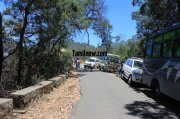 Tourist vehicles for wild tour kodaikanal 266