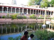 Madurai temple 2763