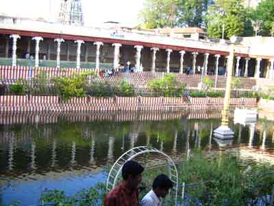 Potramarai Kulam Golden Lotus Tank Madurai