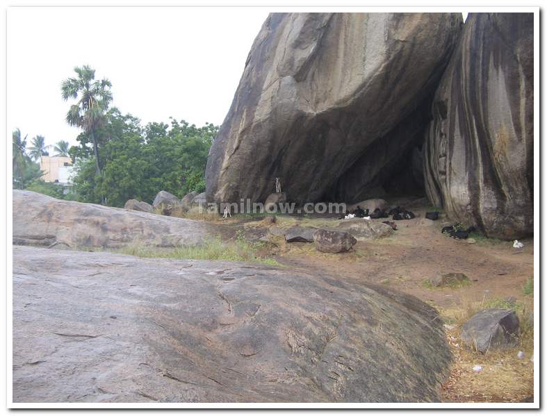 Goats at Mamallapuram