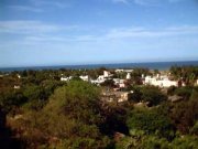 Mahabalipuram 11
