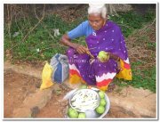 Mango guava vendor