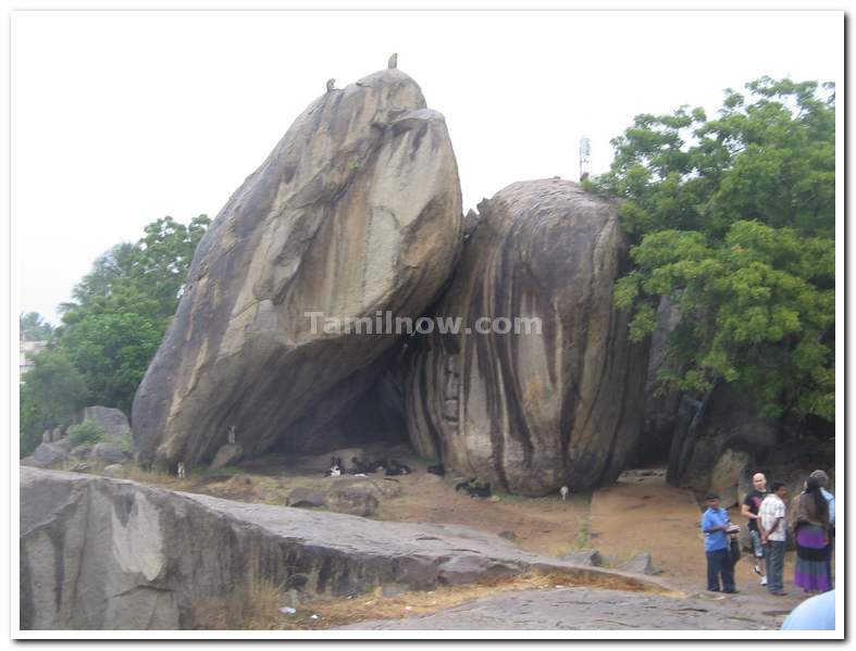 Monkeys at Mahabalipuram