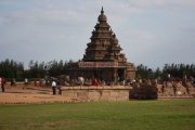Shore temple mahabalipuram 9