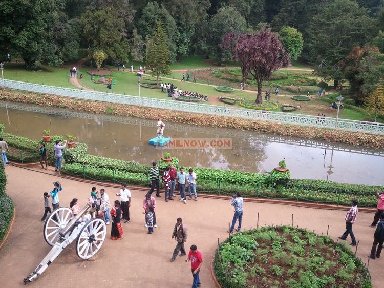 Ooty botanical garden 10