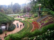 Ooty botanical garden 11