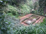 Ooty botanical garden 16