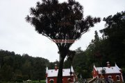 Ooty botanical garden 24