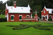 Ooty botanical garden 26