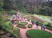 Ooty botanical garden 3