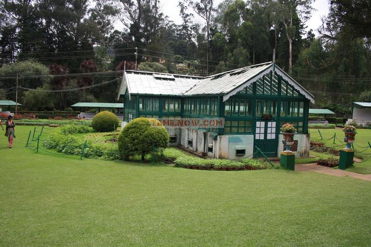 Ooty botanical garden 31