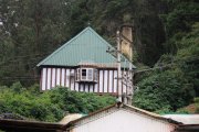 Ooty botanical garden 37