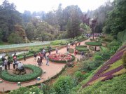Ooty botanical garden 8