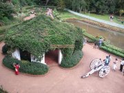 Ooty botanical garden 9