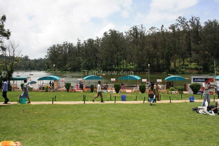 Ooty Lake Lawns Photo 