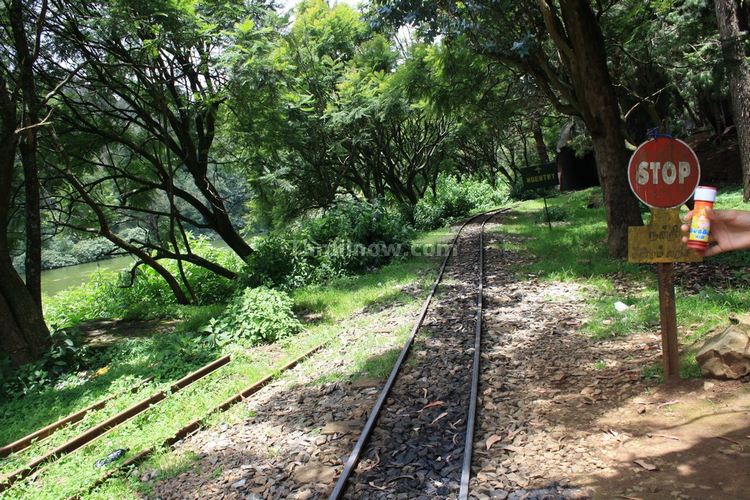 Ooty Lake Side Toy Train