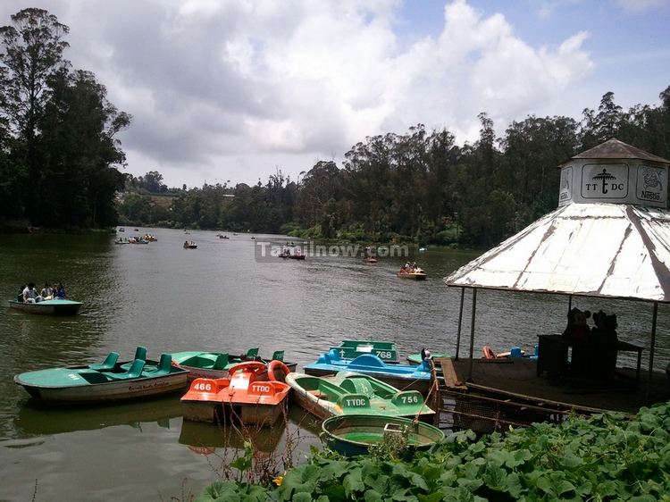 Ooty Lake Boats