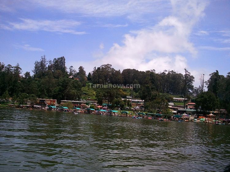 Ooty Lake Boats