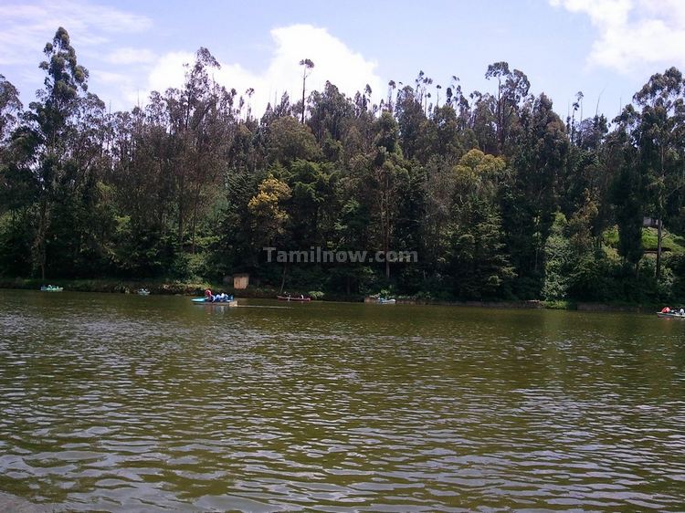 Ooty lake photo 9